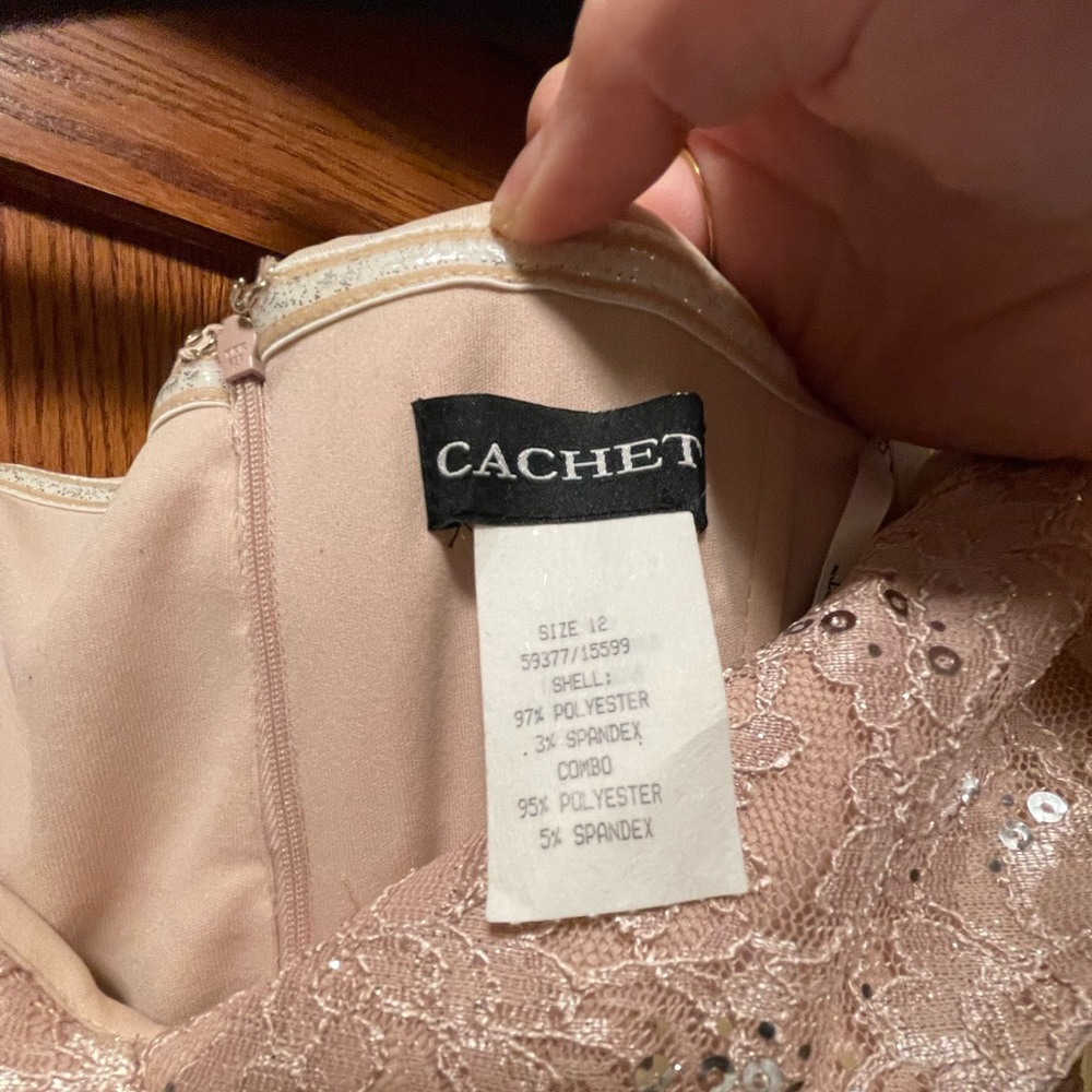 Cachet Blush Beaded Special Occassion Gown Floorlength Off the Shoulder - Picture 6 of 6